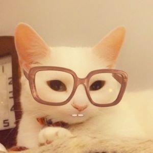 Meet your Posher, Teri